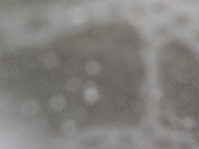 review_image